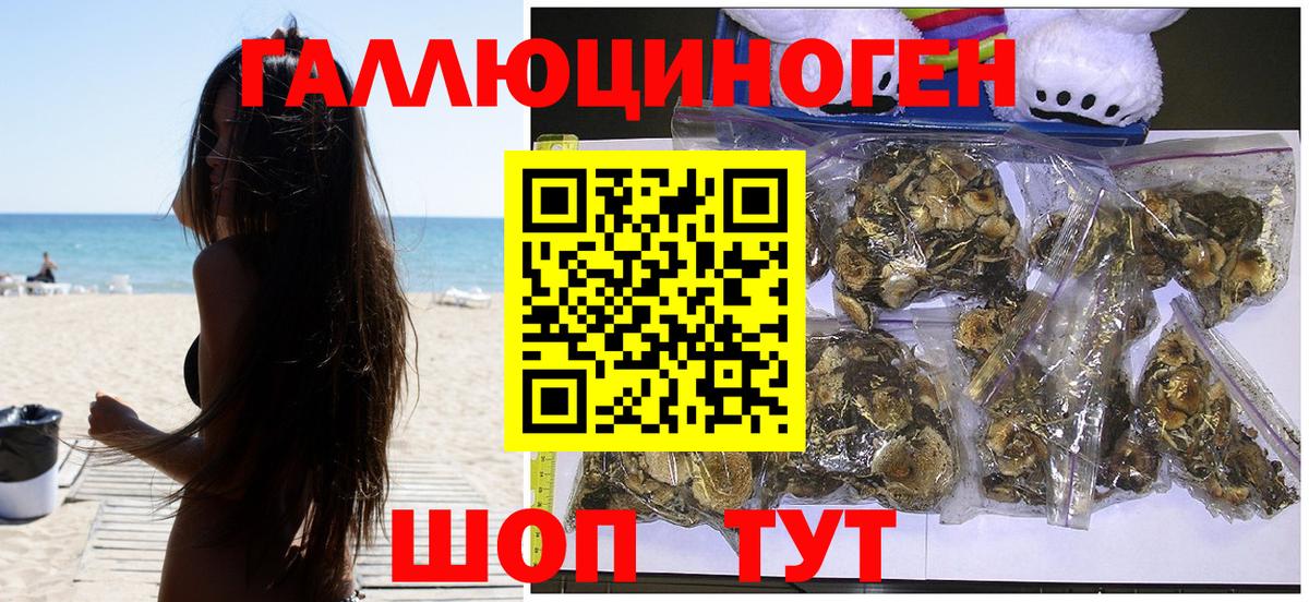 Псилоцибиновые грибы Magic Shrooms Вичуга