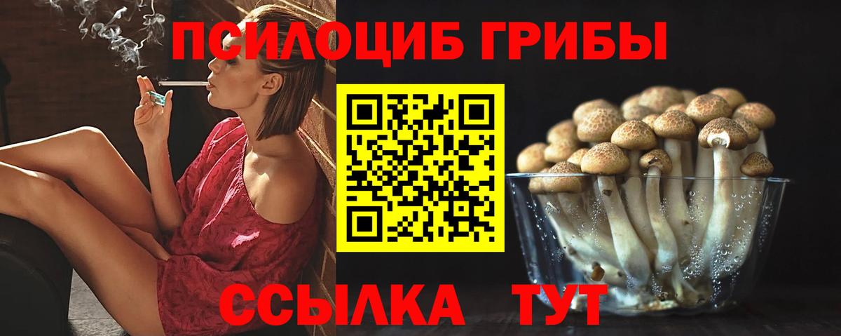 Псилоцибиновые грибы мицелий  Псилоцибиновые грибы мицелий  Вичуга  Вход с VPN 